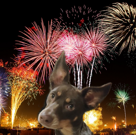 Ensuring Your Pet's Comfort During New Year's Eve Festivities