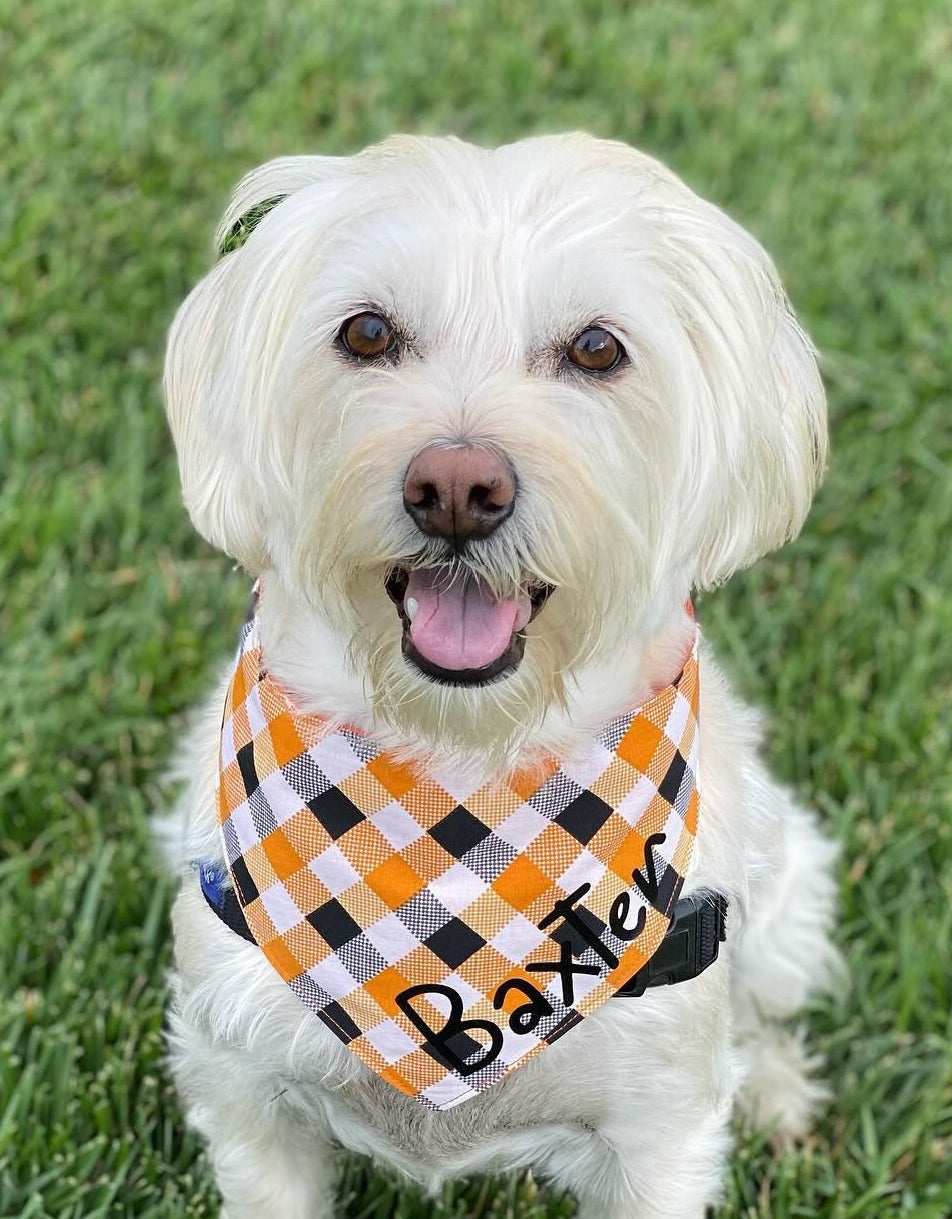 Orange and Black Buffalo Check Pet Bandana