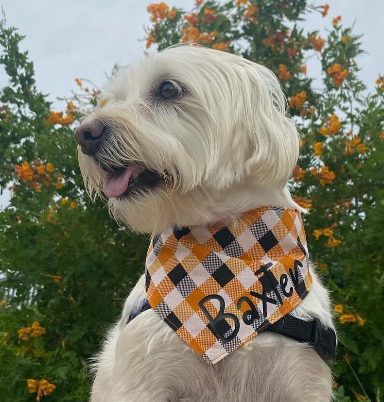 Orange and Black Buffalo Check Pet Bandana