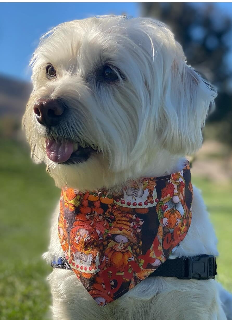 Harvest Gnomes Pet Bandana