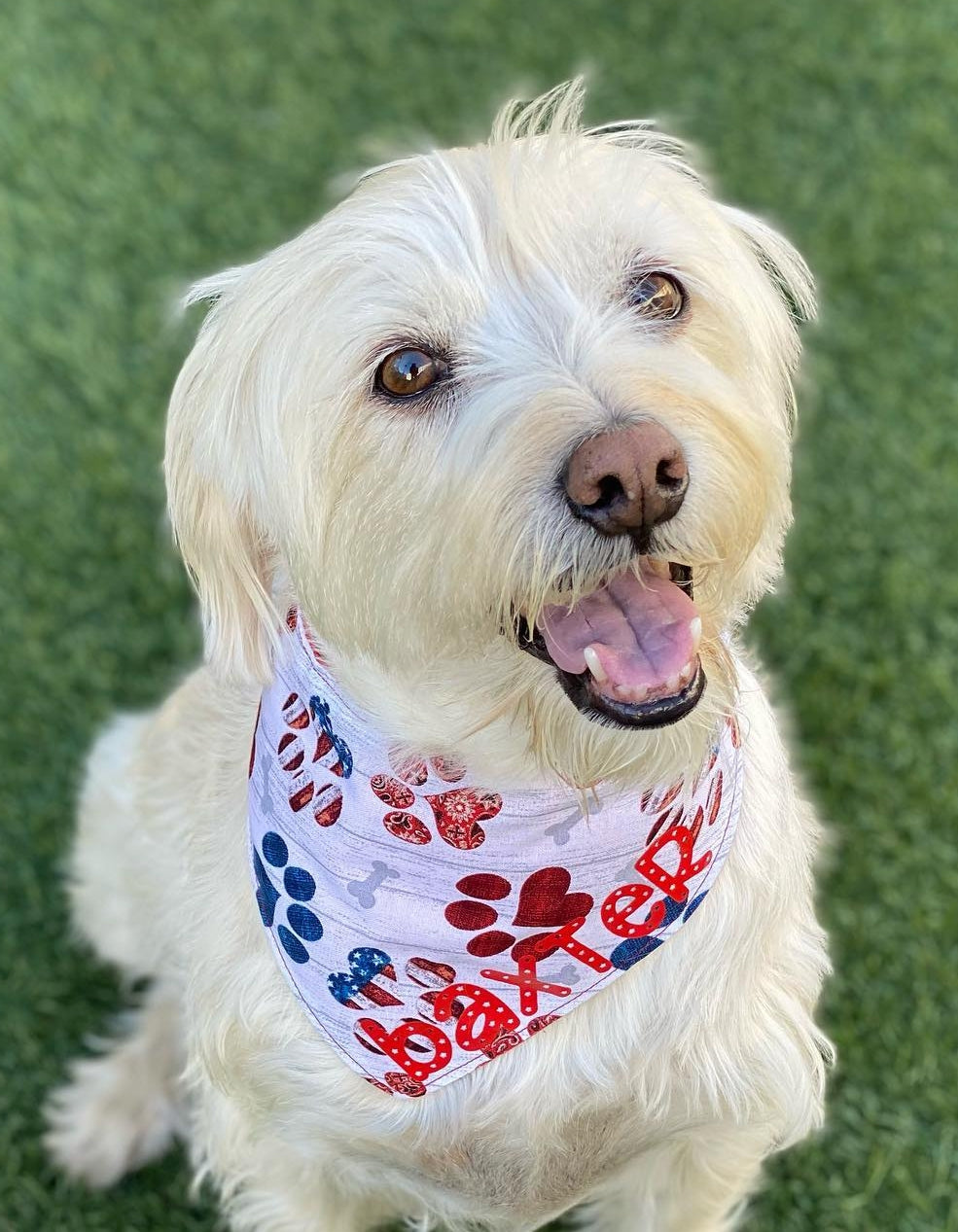 Patriotic Paws Pet Bandana