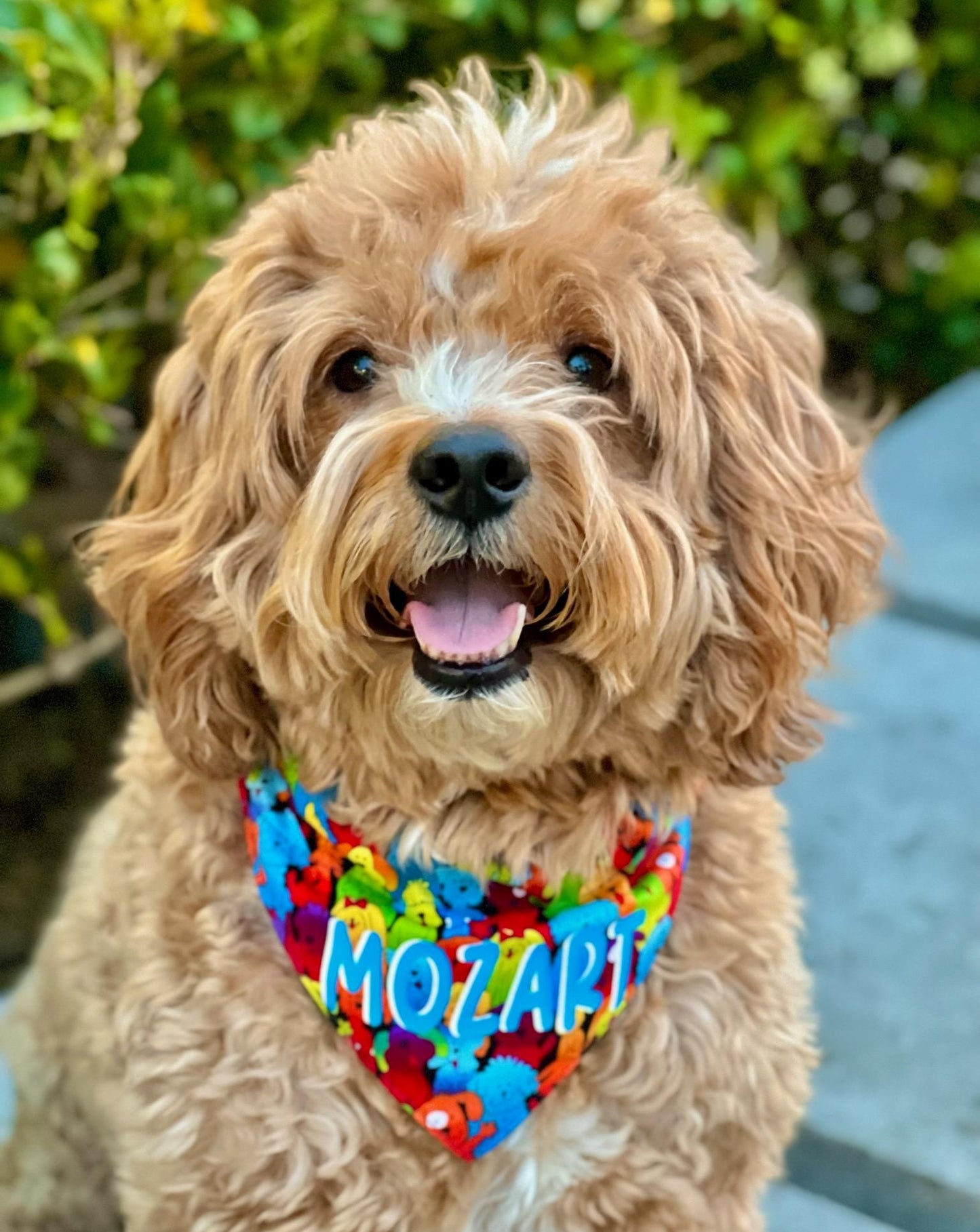 Colorful Friends Pet Bandana