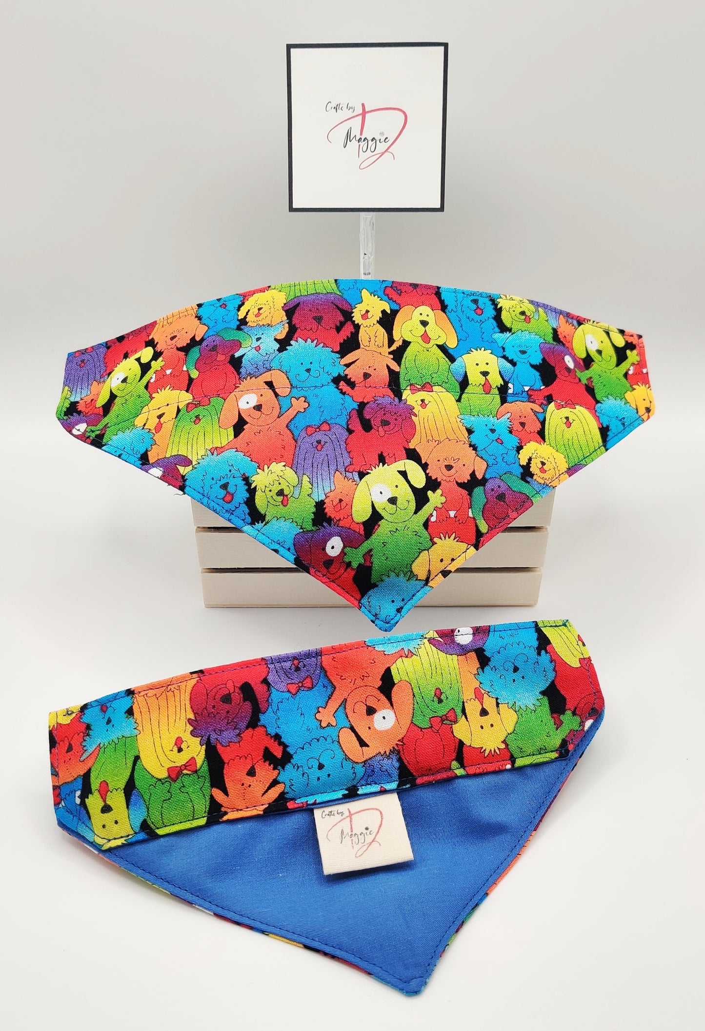 Colorful Friends Pet Bandana