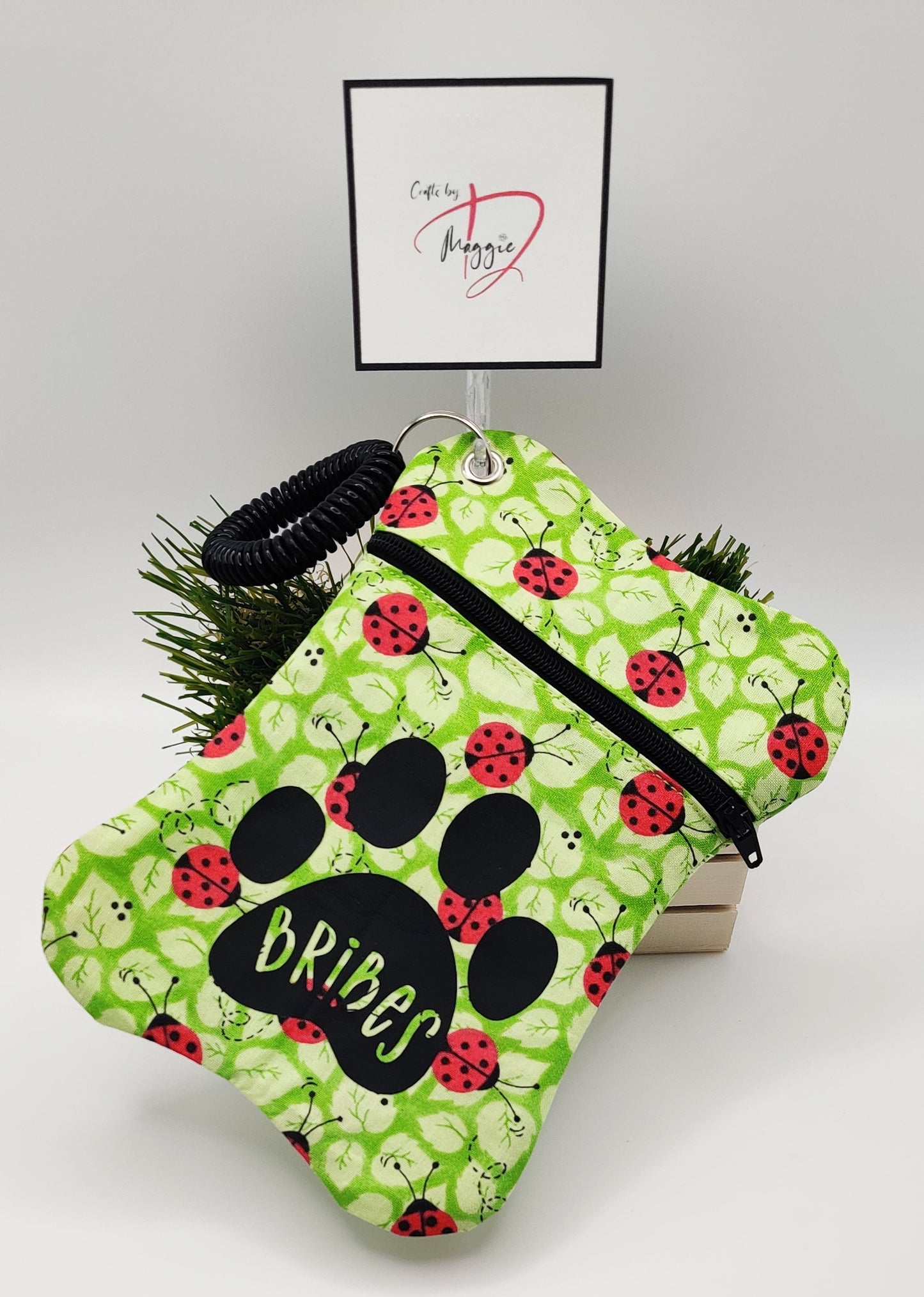 Lady Bug Dog Treat Bag Green Zipper