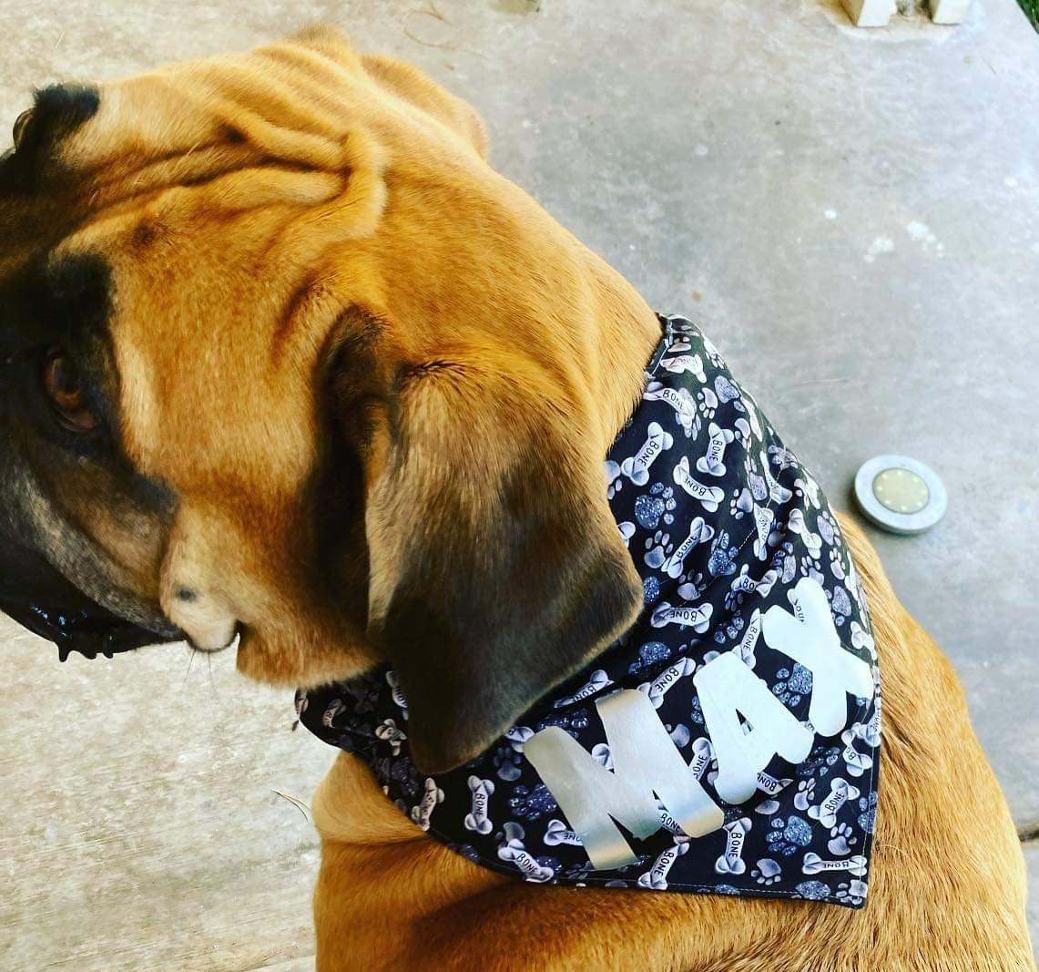 Bad to the Bone Pet Bandana