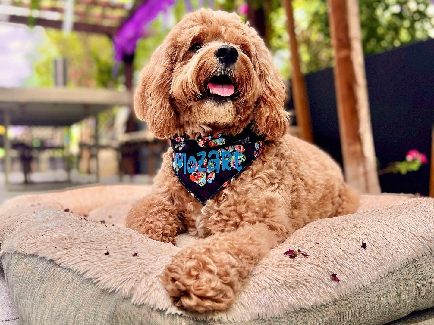 Floral Paws Pet Bandana