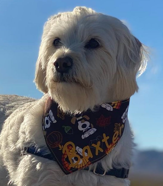 Growwl-O-Ween Pet Bandana