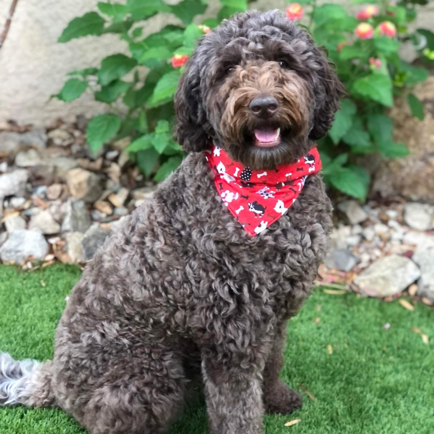 Dogs on Red Pet Bandana