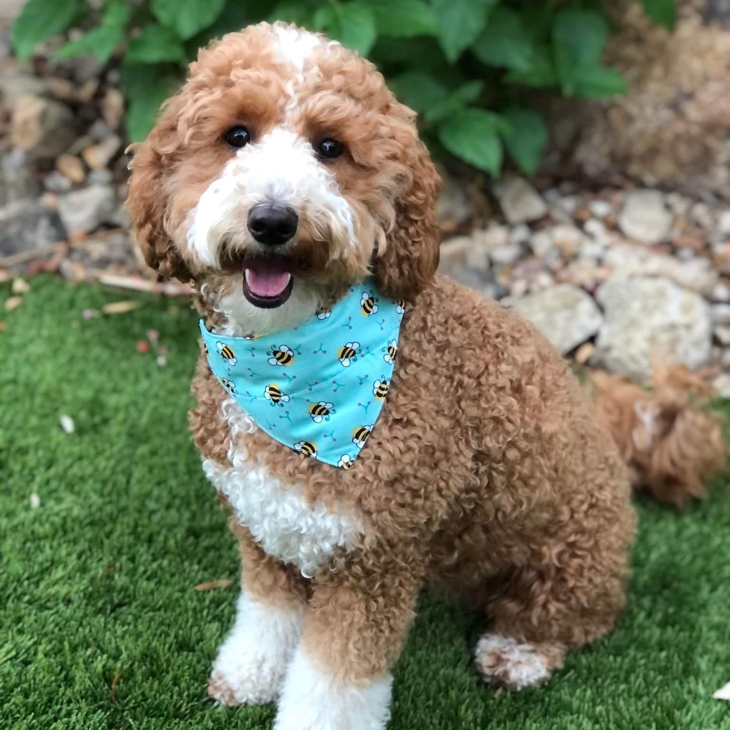 Bee-utiful 2 Pet Bandana