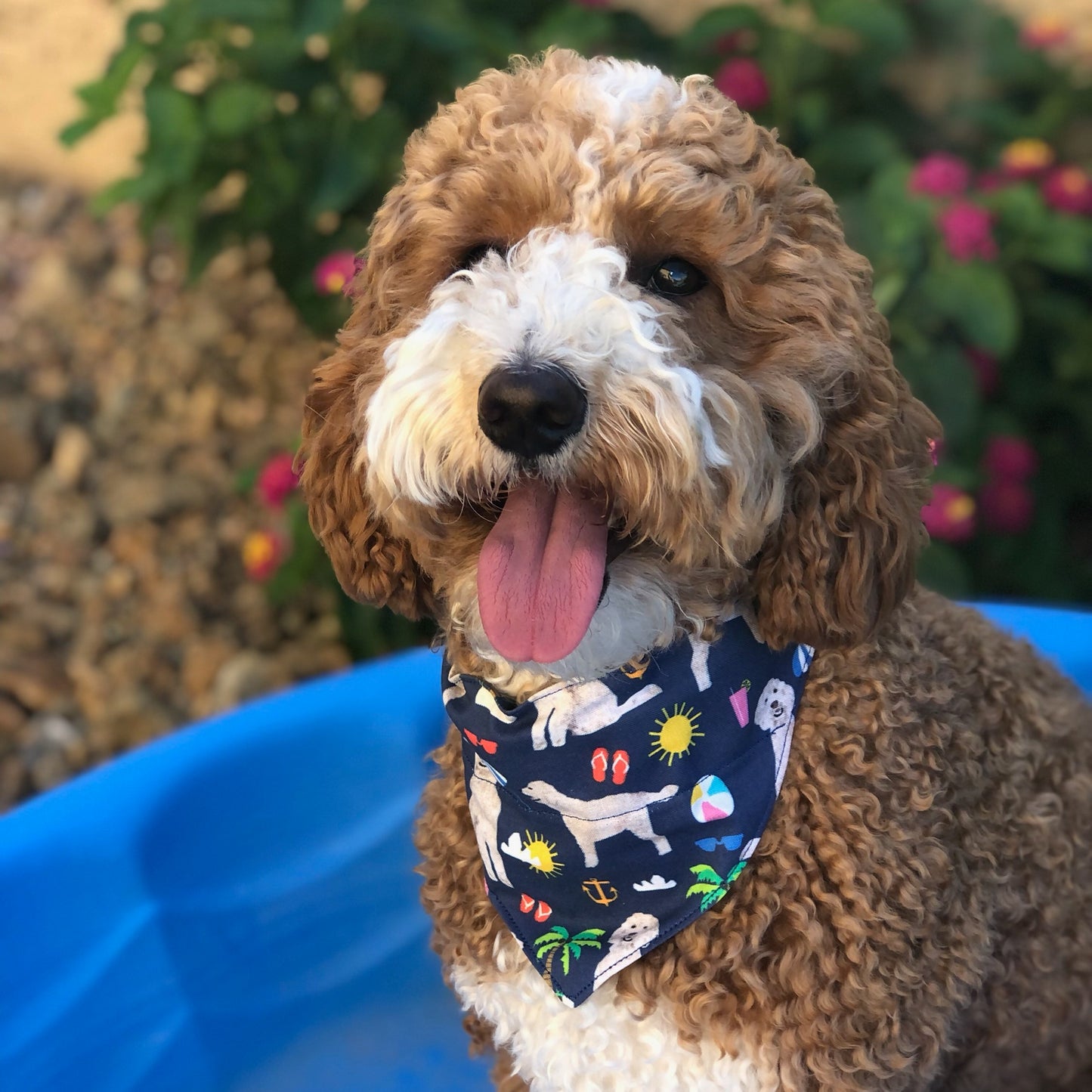 Summer Doodles Pet Bandana