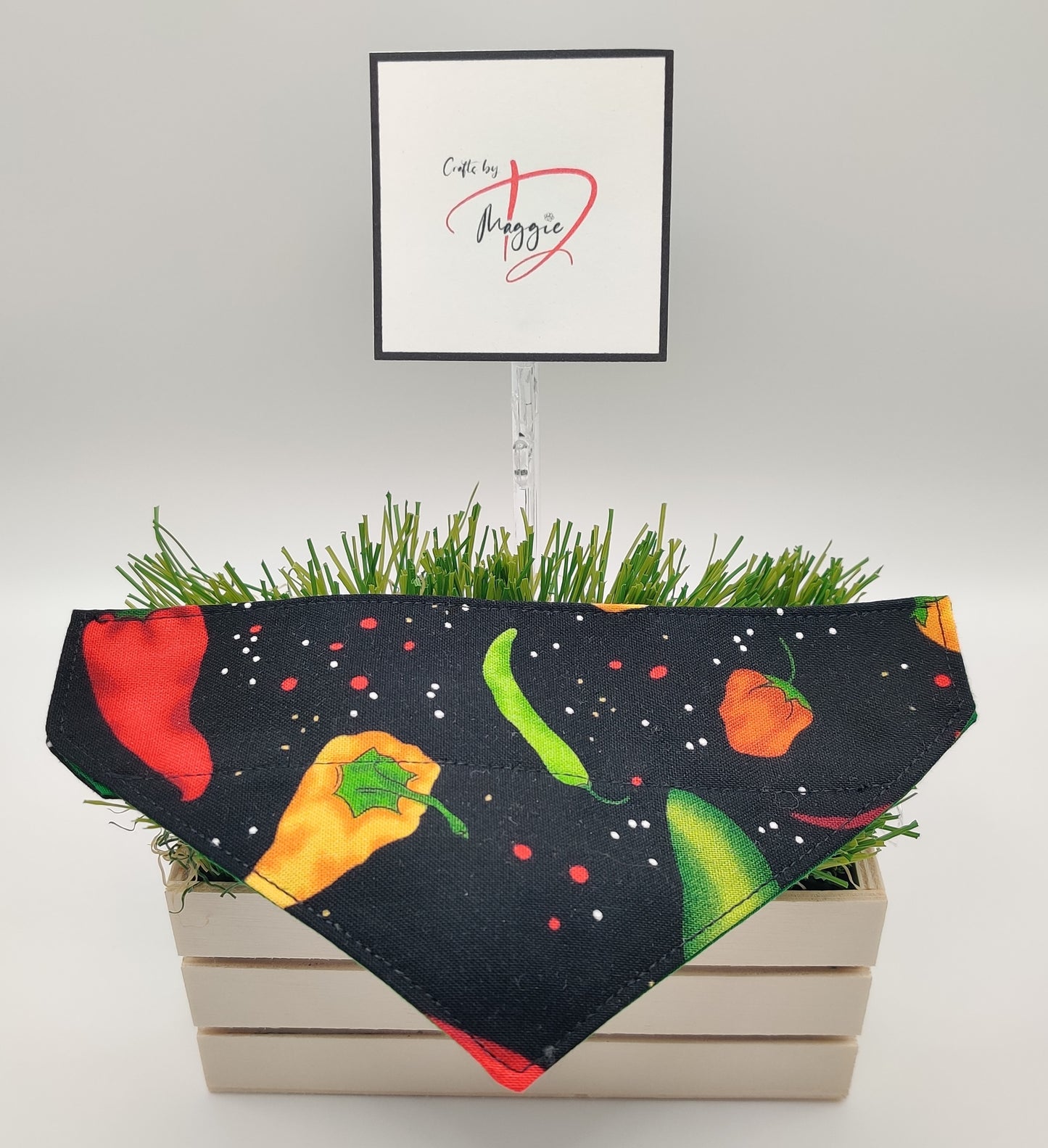 Spicy Pet Bandana