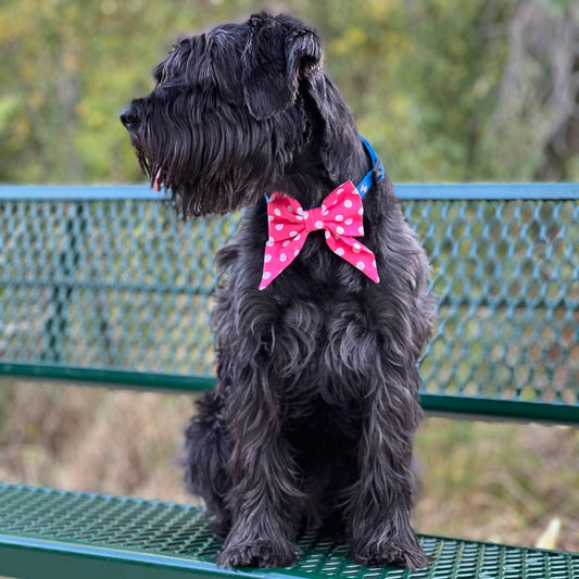 Enhance Your Pet's Style: The Charm of Over-the-Collar Double Elastic Collar Bow Ties