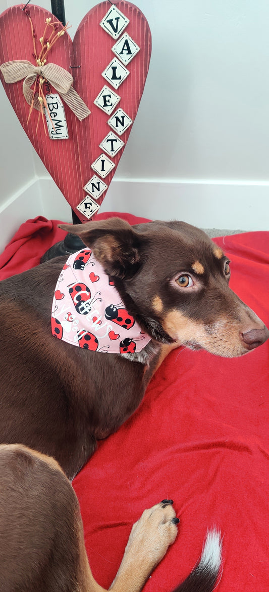 I Chews You - Valentine Pet Bandana