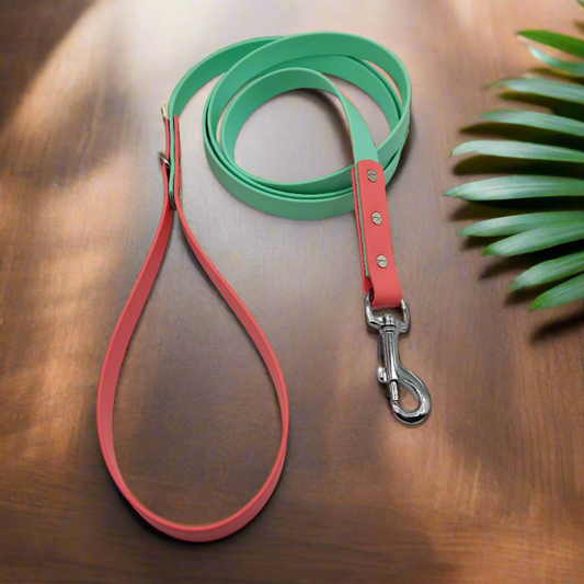 BioThane® 3/4" Dog Leash Multi Color