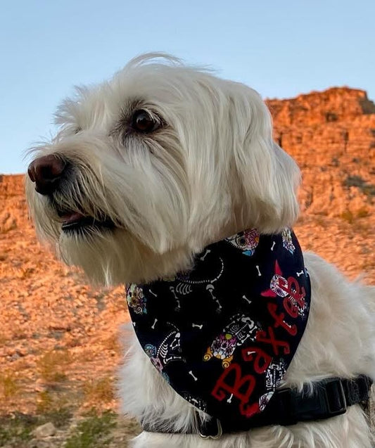 Skeleton Dogs Pet Bandana