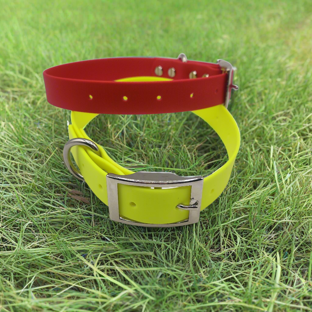 Flat Dog Collars - 1 inch