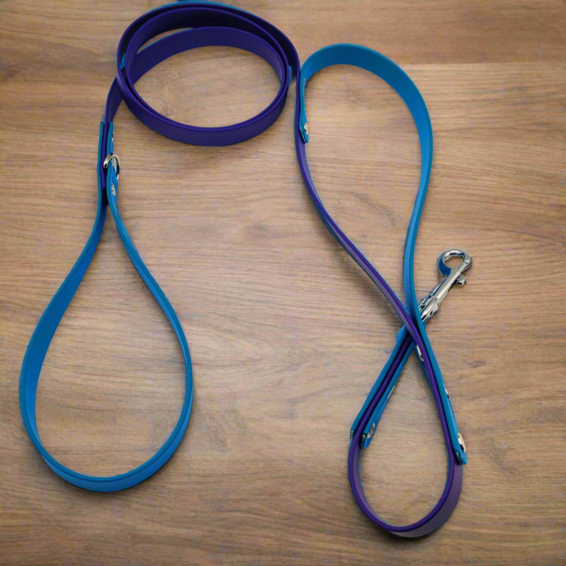 BioThane Leash with Traffic Handle