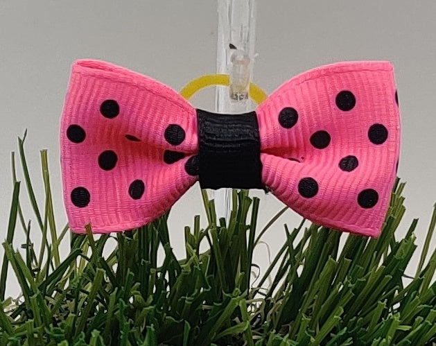 Various Grooming Bows