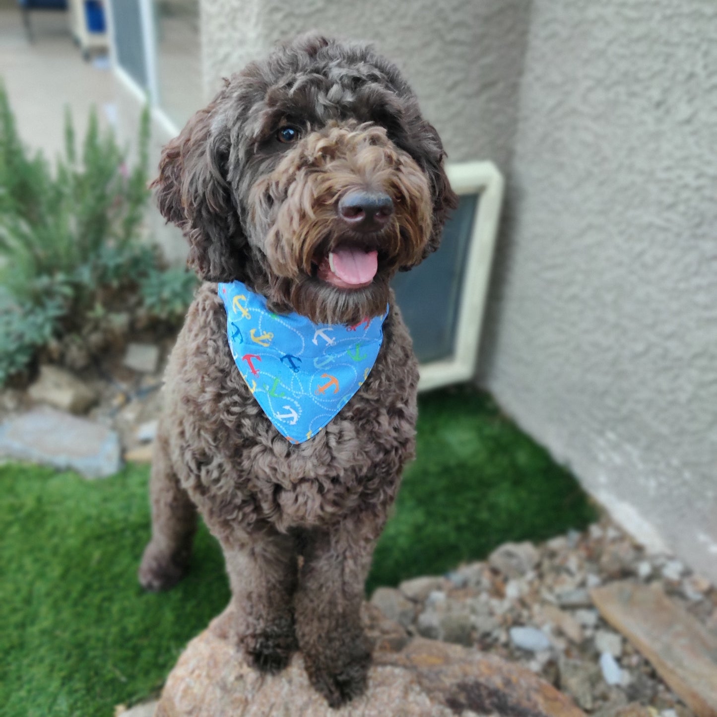 Anchors Away Pet Bandana