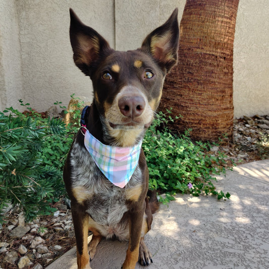 Pastel Plaid Bandana Pet Bandana