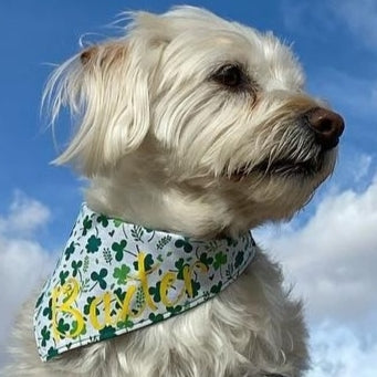 Clovers Pet Bandana