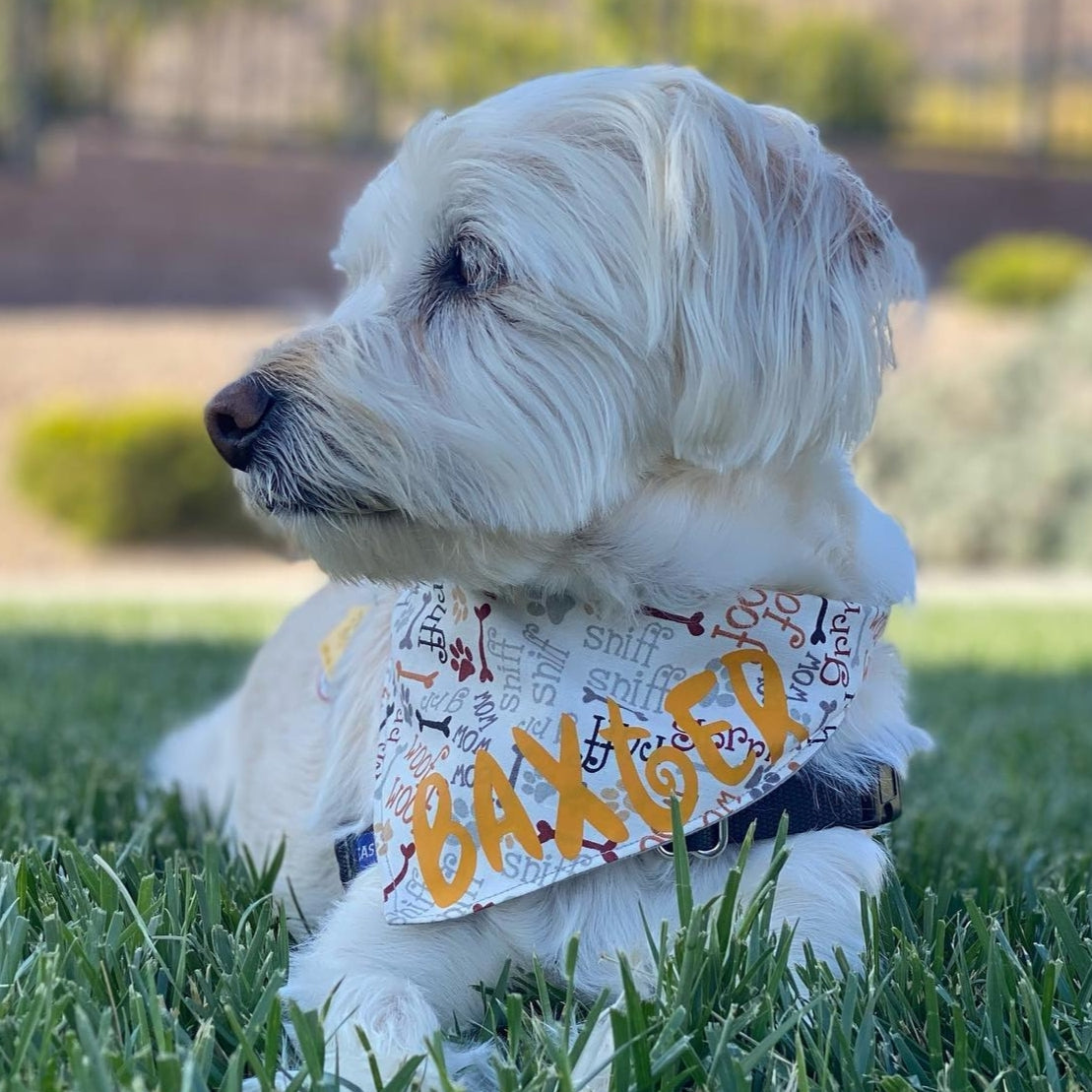 Woof! Pet Bandana