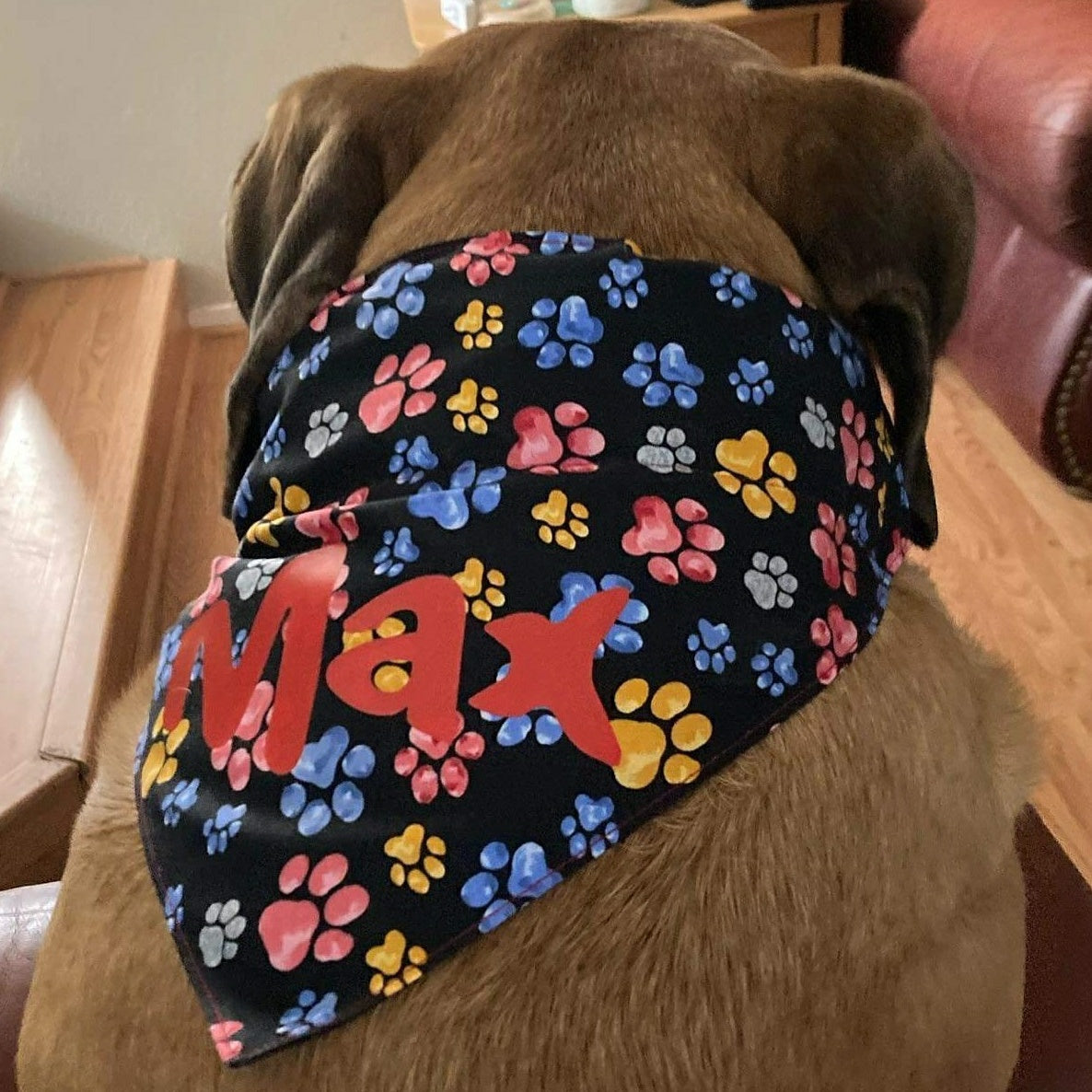Paws Pet Bandana