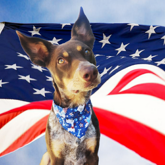 Blue 4th of July dogs Bandana