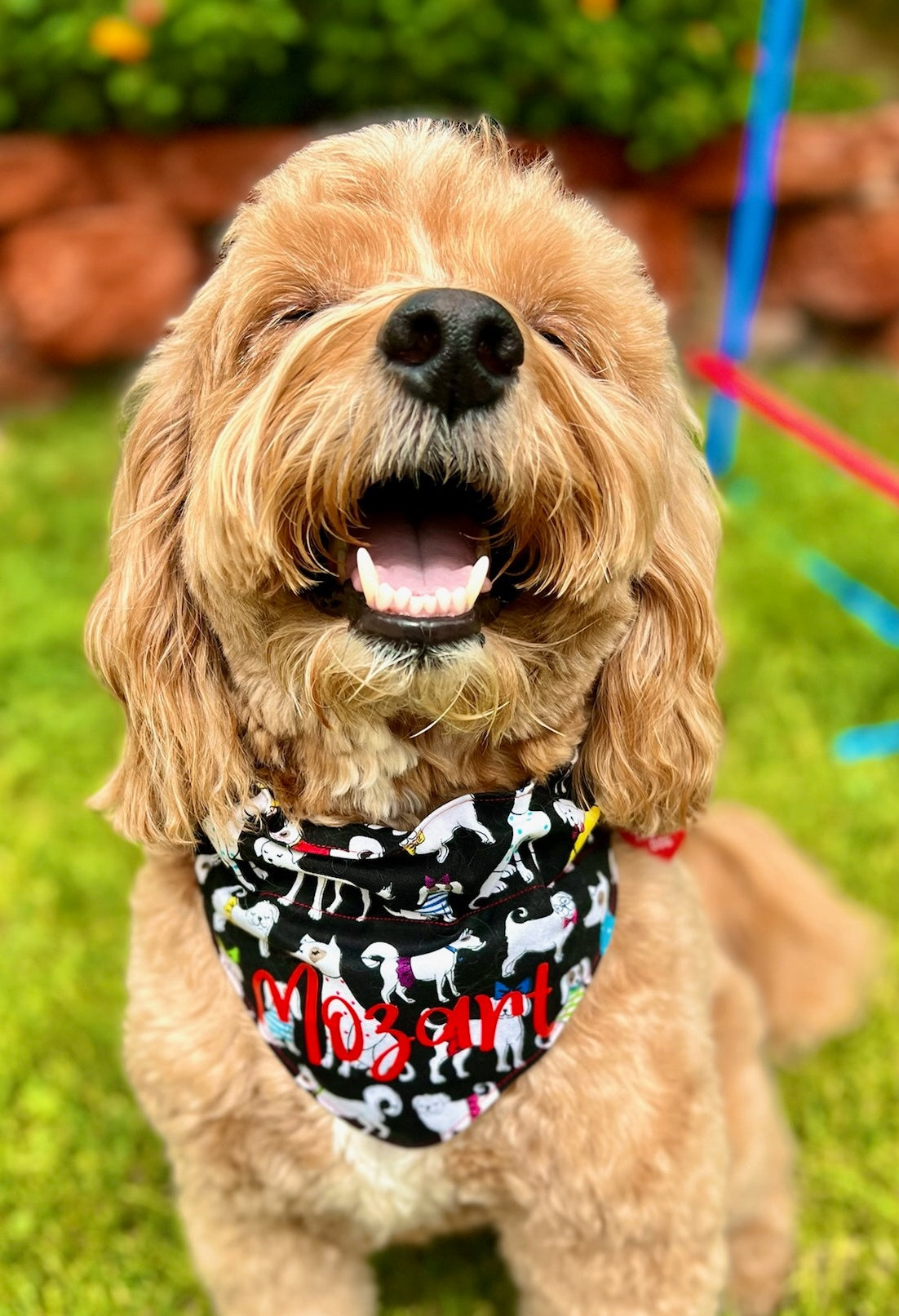 Dapper Dogs Pet Bandana