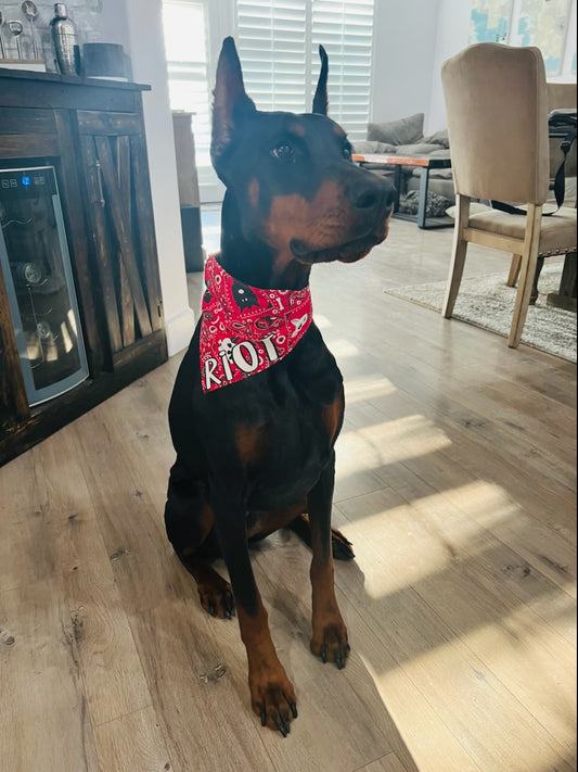 Home on the Range Pet Bandana